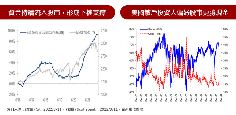 資金持續流入股市，形成下檔支撐 / 美國散戶投資人偏好股市更勝現金